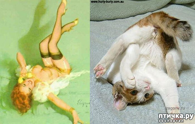 ���� 23: ����� � ����� ���-�� 3