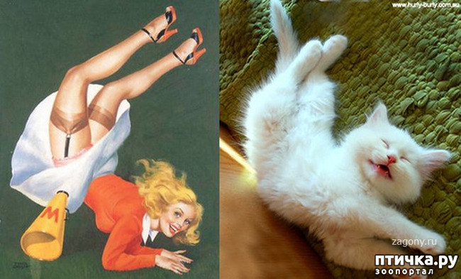 ���� 12: ����� � ����� ���-�� 3