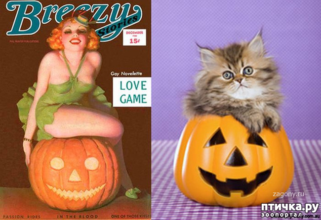 ���� 15: ����� � ����� ���-�� 3