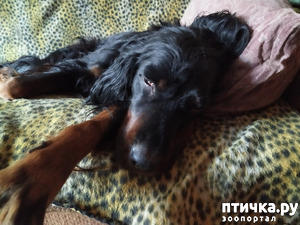 ����: ��� ��� ����.