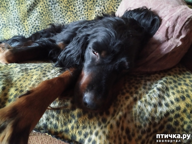 ���� 1: ��� ��� ����.