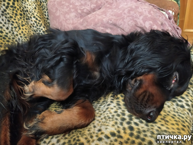 ���� 2: ��� ��� ����.