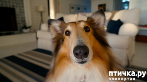 ����: ������ �������� � ����� � �����