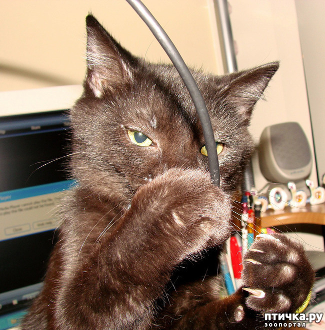 ���� 2: ������ �������� � ����� � �����