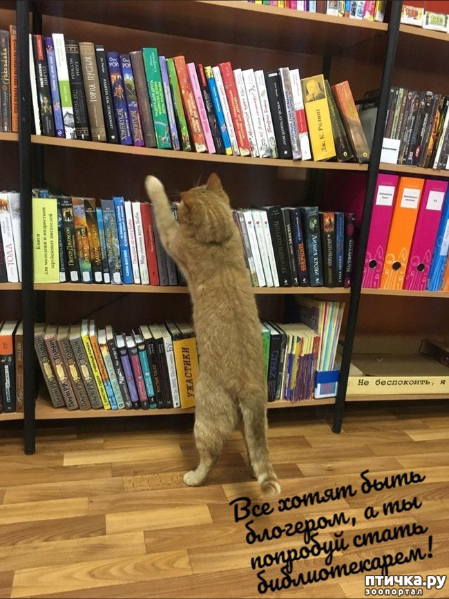 ���� 1: ������������ �������