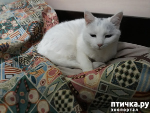 ����: ����� ������!!!