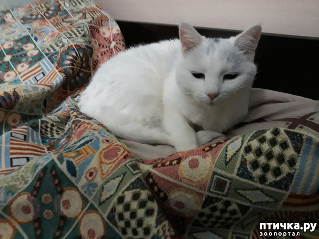 ���� 1: ����� ������!!!