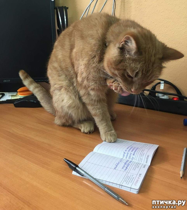 ���� 3: ������������ �������