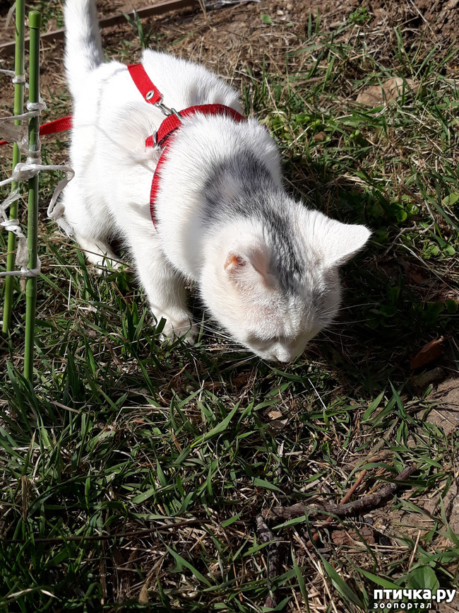 ���� 2: ����� ������!!!