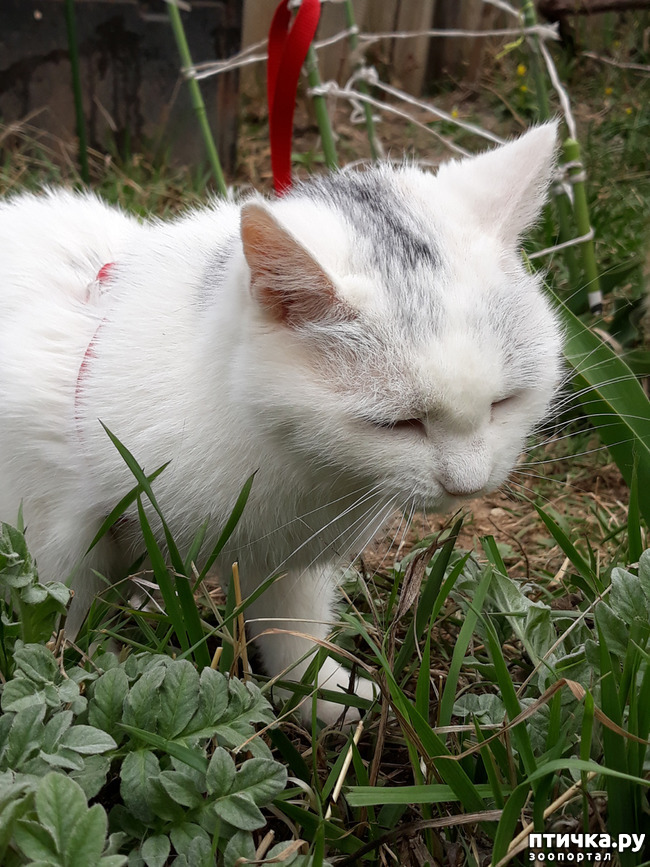 ���� 4: ����� ������!!!