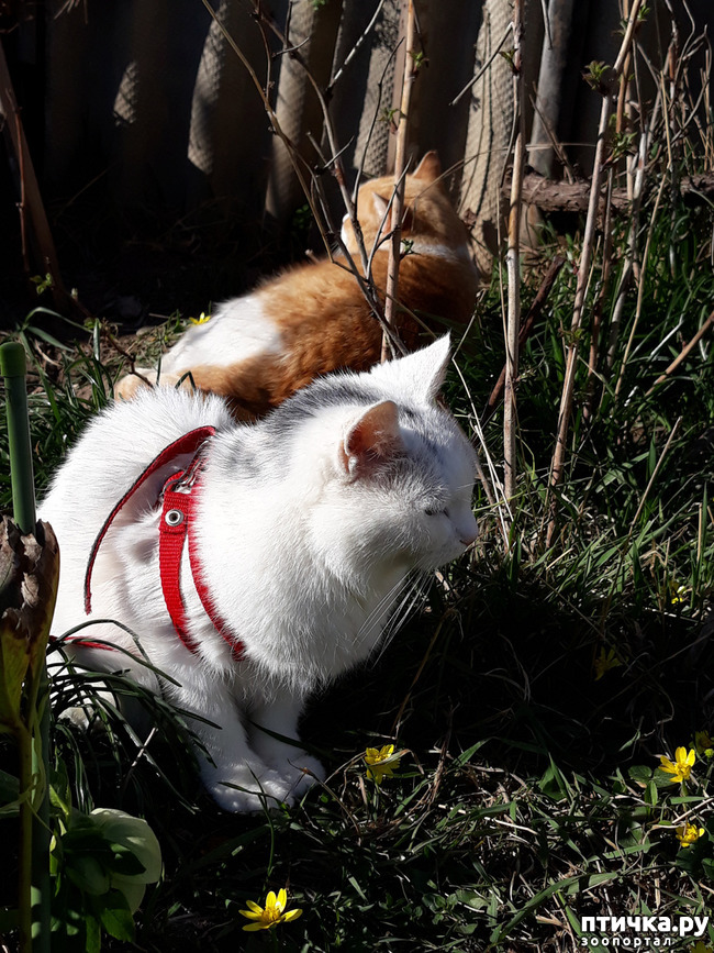 ���� 5: ����� ������!!!