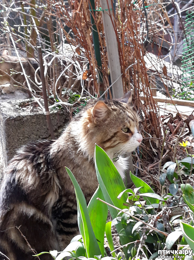 ���� 6: ����� ������!!!