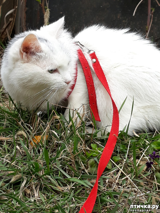 ���� 7: ����� ������!!!