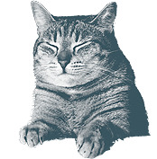 ���� 5: ���������� ����