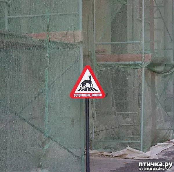 ���� 8: ���������� ����