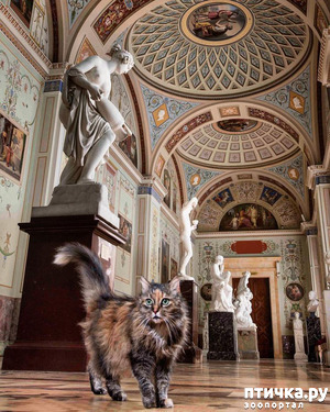 ����: ���������� ����