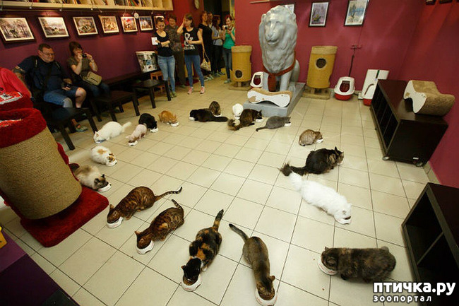 ���� 6: ���������� ����