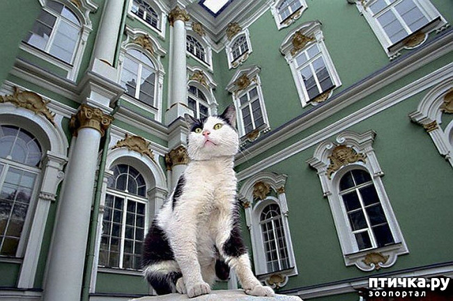 ���� 7: ���������� ����