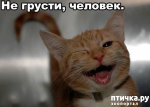 ����: ������� �������� ����: