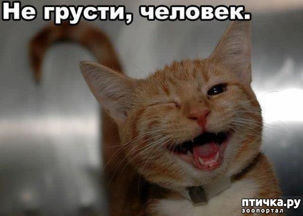 ���� 1: ������� �������� ����: