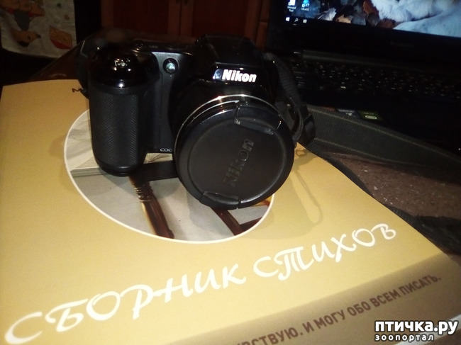 ���� 8: �������� � ����� �������