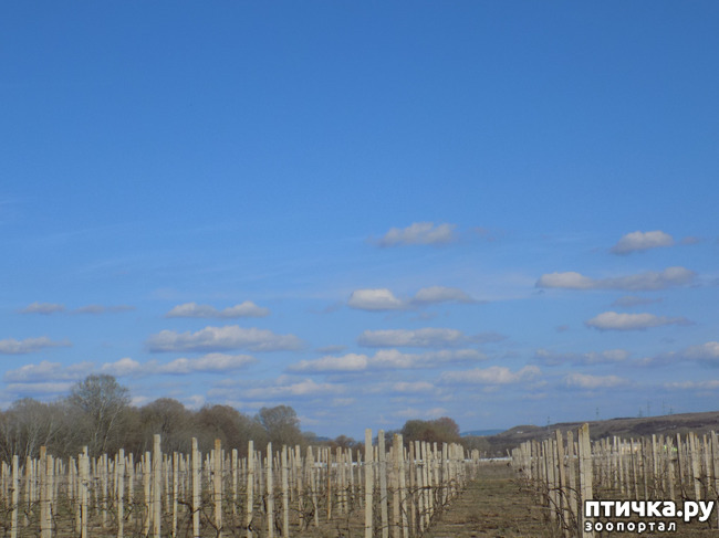 ���� 2: �������� � ����� �������