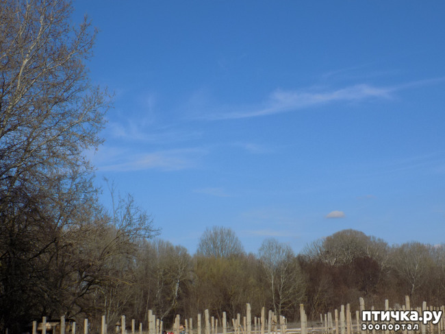 ���� 3: �������� � ����� �������