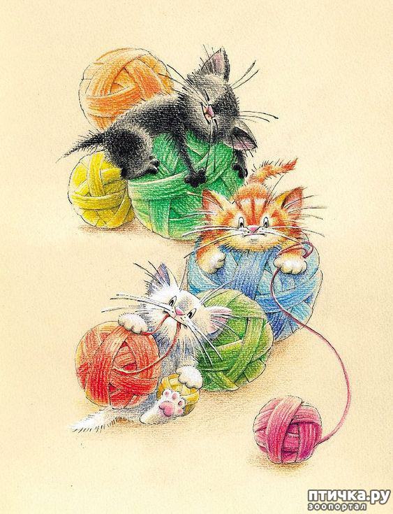 ���� 2: � ����� ��� �������