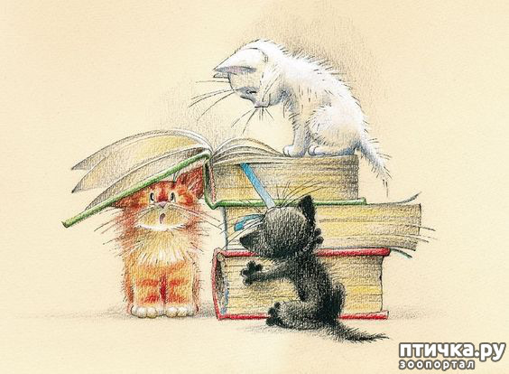 ���� 4: � ����� ��� �������