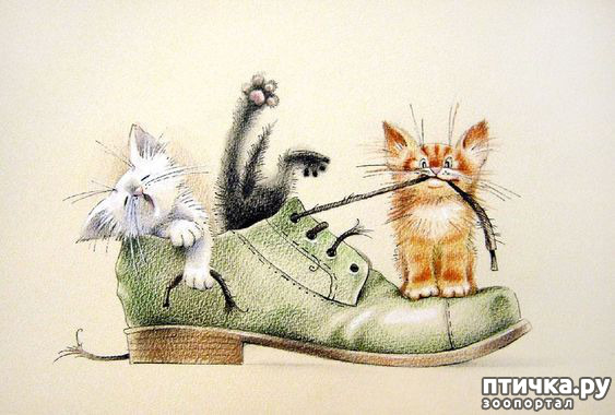 ���� 5: � ����� ��� �������