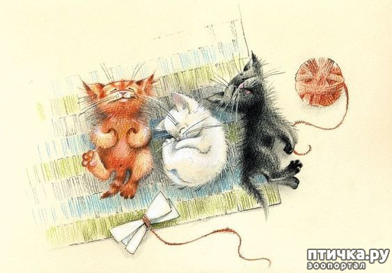 ���� 6: � ����� ��� �������