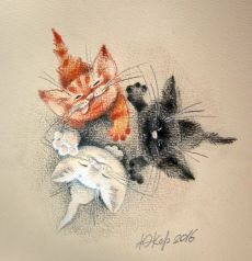 ���� 7: � ����� ��� �������