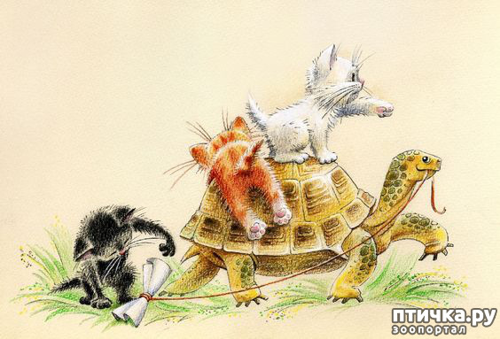 ���� 9: � ����� ��� �������