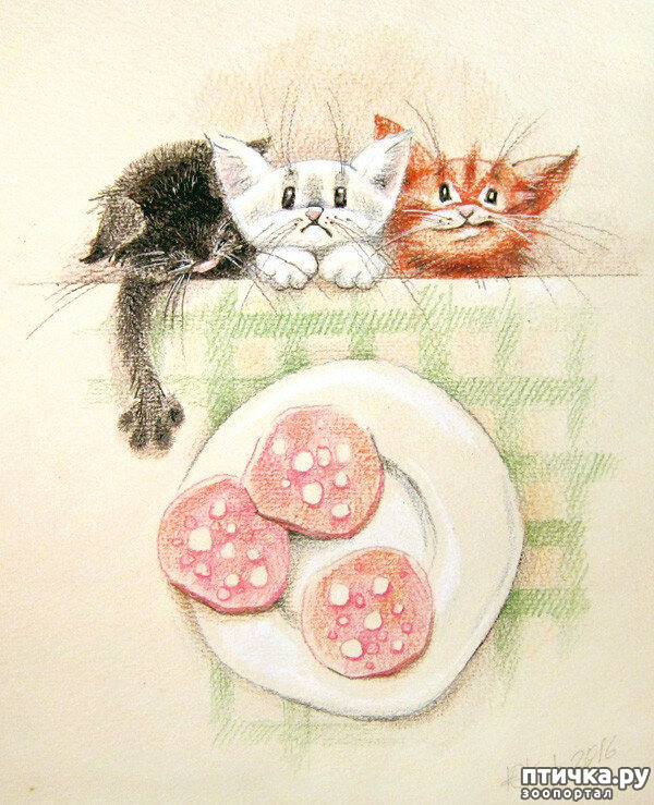 ���� 10: � ����� ��� �������