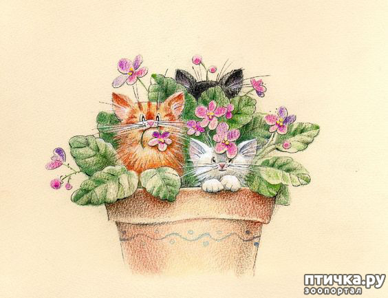 ���� 11: � ����� ��� �������