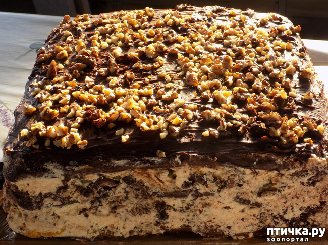 ���� 10: �������� � ����� �������