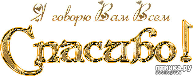 ���� 1: ������� ���, ���� ��� ������ � �����!