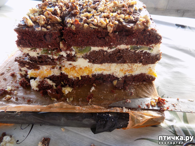 ���� 11: �������� � ����� �������