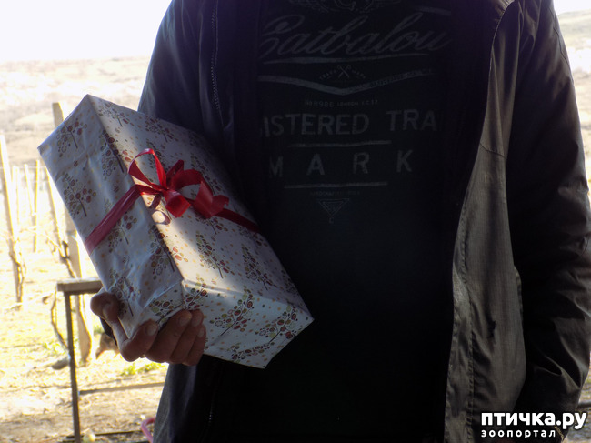 ���� 4: �������� � ����� �������