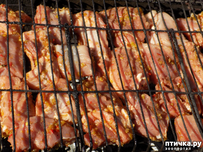 ���� 12: �������� � ����� �������