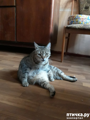 ����: �����������! � ���� �������� � ������������