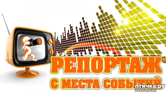 ���� 1: �������� � ����� �������