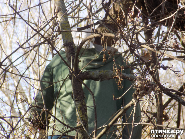 ���� 7: �������� �� �������� �������