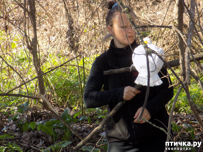 ���� 8: �������� �� �������� �������