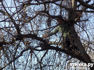 ����: �������� �� �������� �������