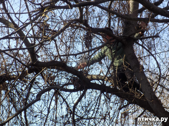 ���� 1: �������� �� �������� �������