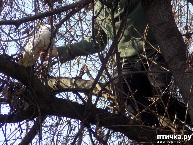 ���� 2: �������� �� �������� �������