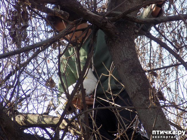 ���� 4: �������� �� �������� �������