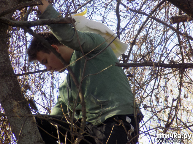 ���� 5: �������� �� �������� �������