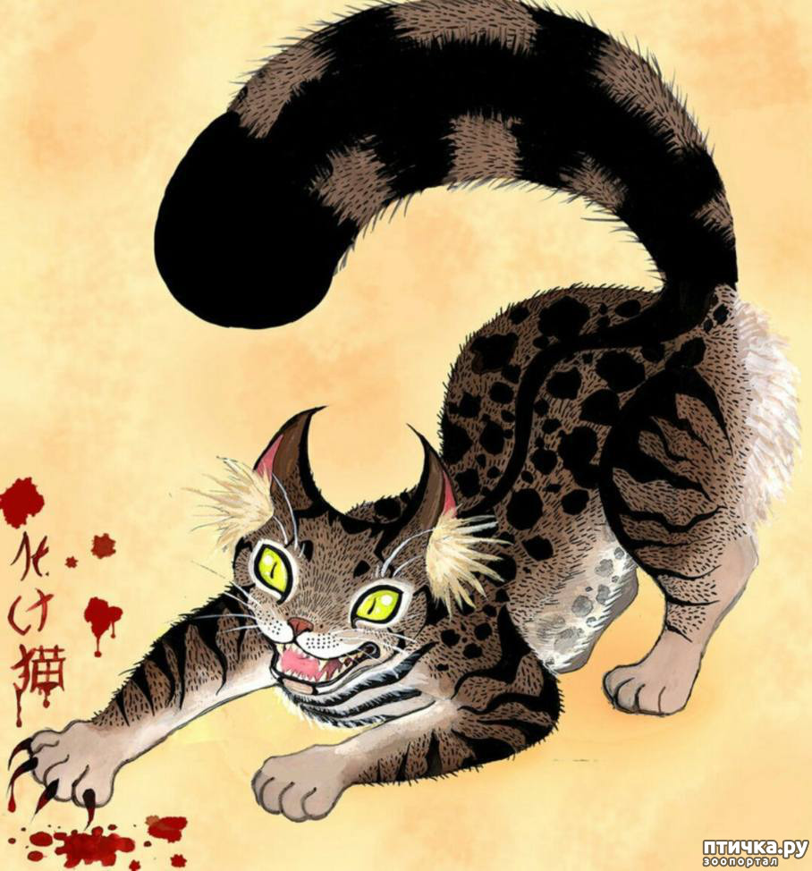 Nekomata